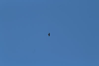 2024:08:14 10:07:52